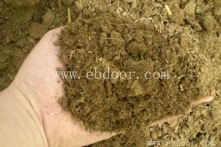 蓝莓肥害是什么原因 施肥位置不对