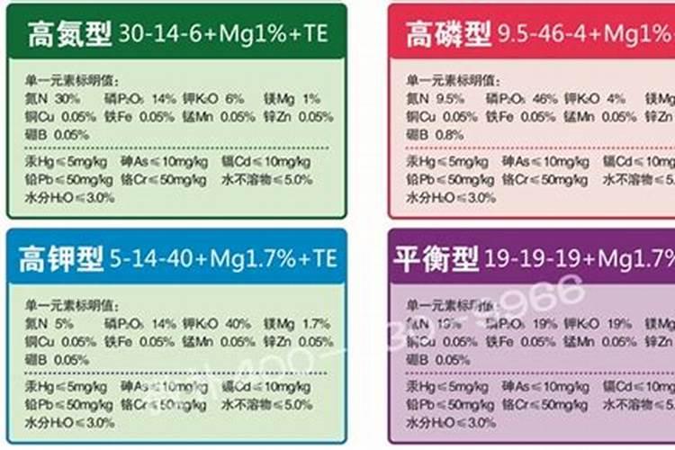 大棚水果有哪些