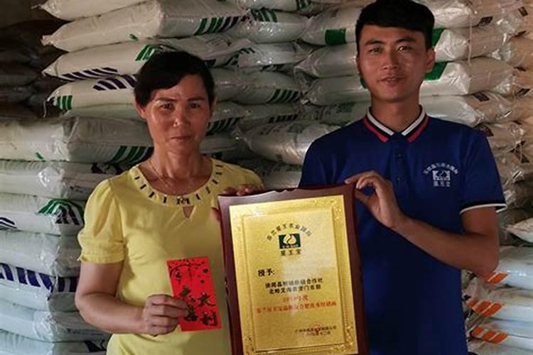 复合肥100斤价格表