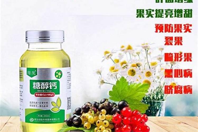 盆栽蓝莓的种植和养护方法 关于盆栽蓝莓的种植和养护方法