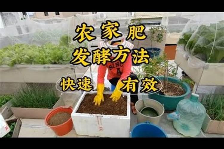 番茄浇什么肥料合适