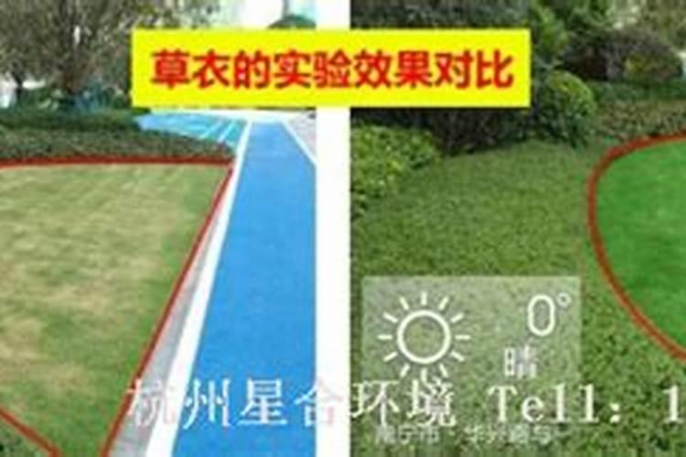 钾肥常见的种类及优缺点!