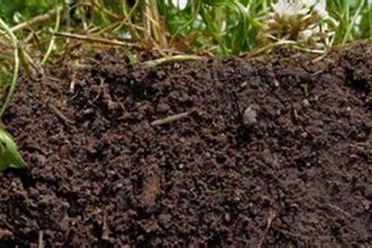 请问一下施加复合肥要用土盖住吗？还是是不是施了复合肥后尽量不要浇水...