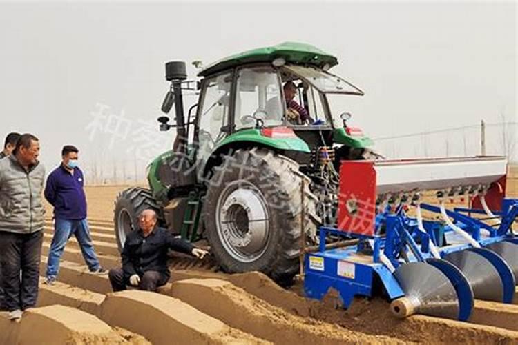 复合肥种菜怎么使用