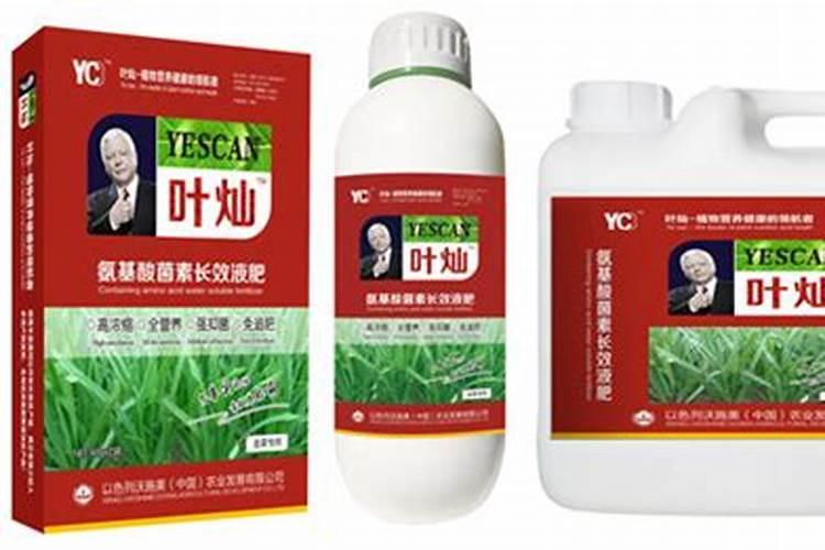 常见的氮肥有什么？