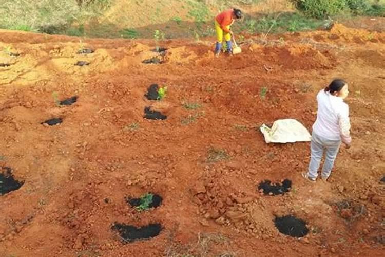 崇左市建业肥料厂怎么样？