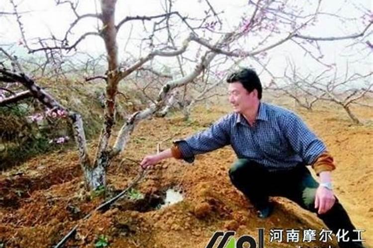 中老年女性补钙产品用什么的比较好呀？