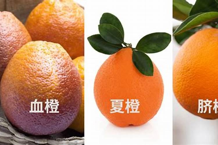夏橙保果正确方法 夏橙怎么保果