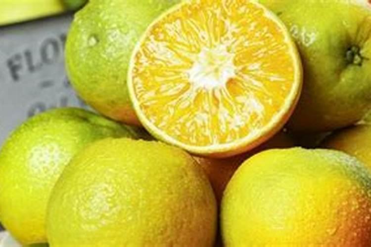 夏橙保果正确方法