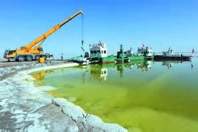 植物缺了氮磷钾怎么补