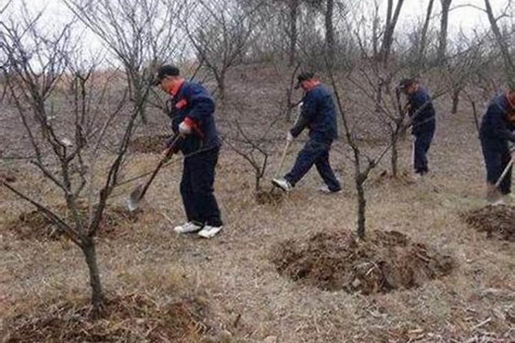 乙酸铜能和哪些细菌药混用