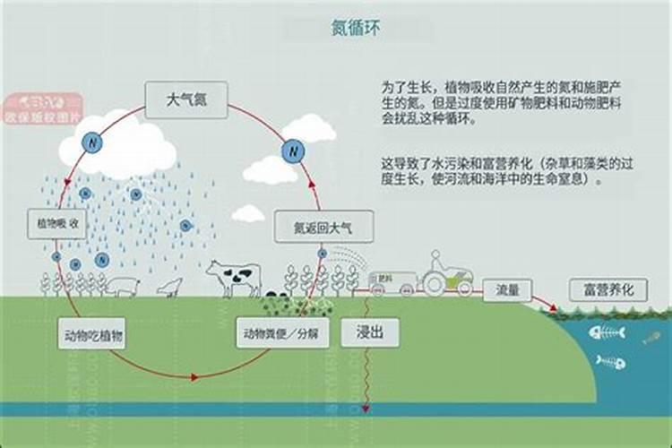 打雷闪电会生成肥料,？？？所谓的天水就是雨水啊