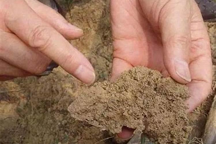 化肥都是有什么含量的