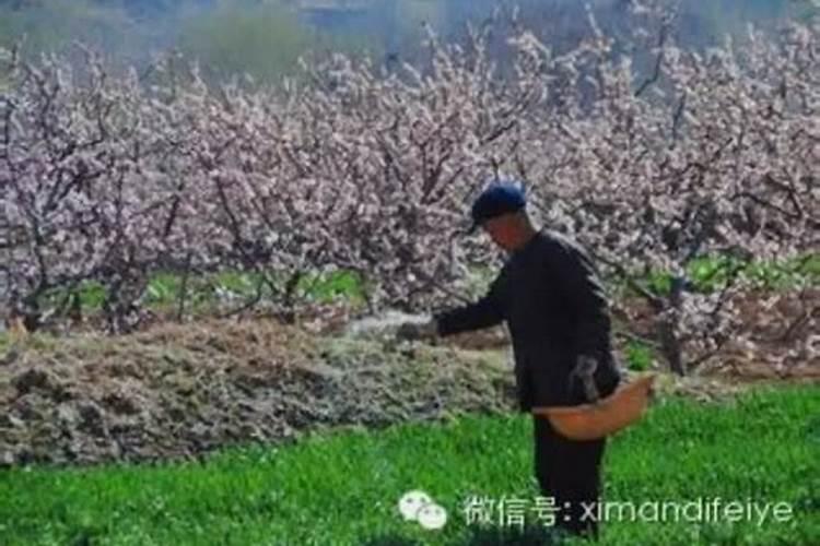 下列肥料属于单质肥料的是( ) a尿素 b硫酸铵 c磷酸二氢钾 d硫酸锌