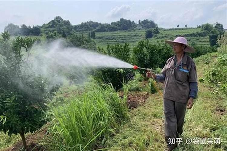 桑园常用农药有哪些类型？