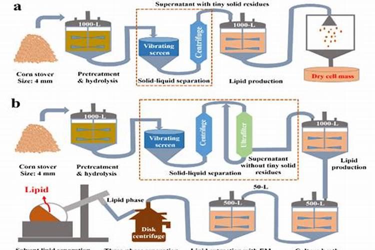 腐殖质与腐植酸的区别关系