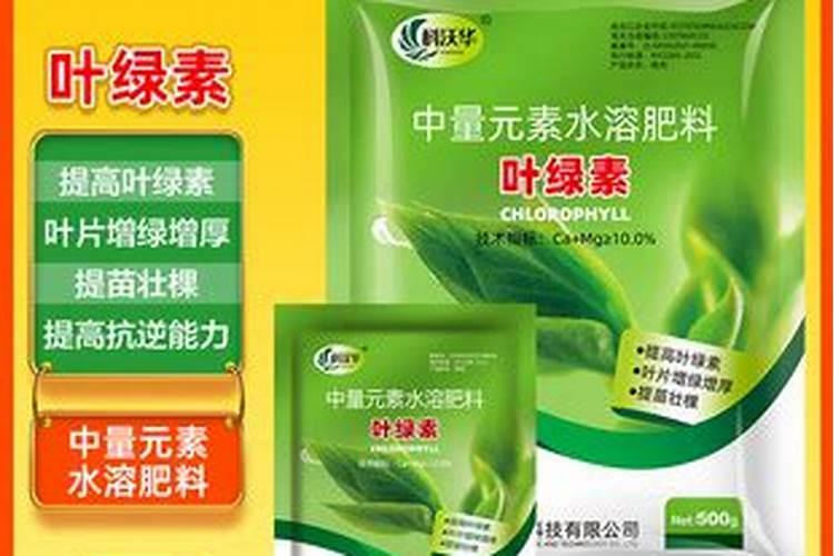 什么植物叶面肥变绿最快