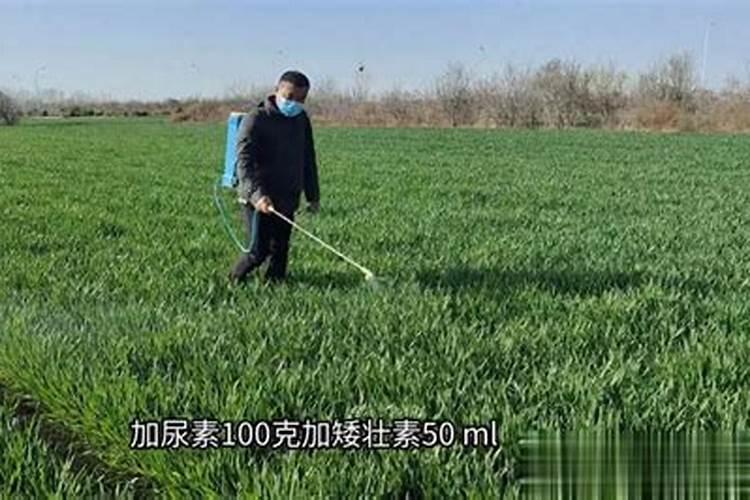 什么肥料生根最快最好