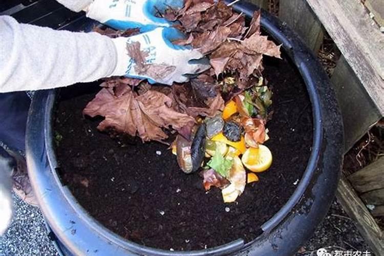 芸苔素可以提升作物抗寒性吗