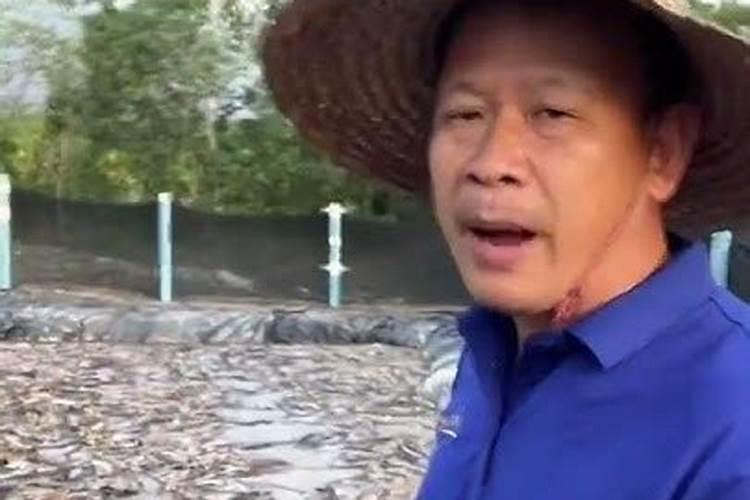 水培绿萝加什么肥料