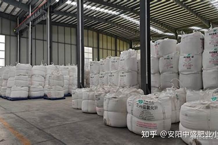 水竹可以放卧室吗 水竹能不能放卧室养