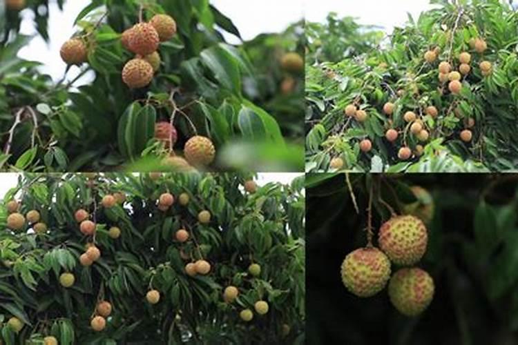 贵州磷都在哪里