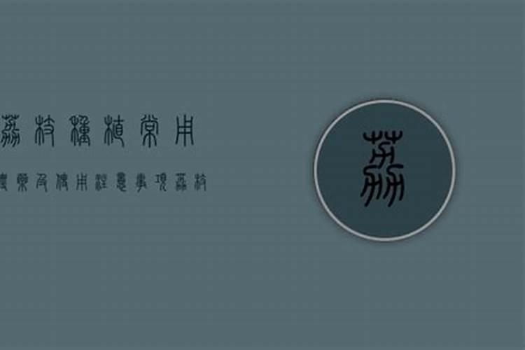 怎样促进荔枝花芽分化