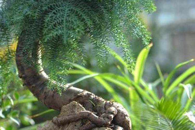 高电位治疗仪价格是多少？