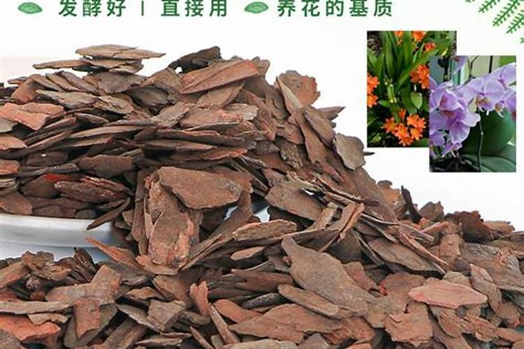 光照强掉叶子用什么肥料或药