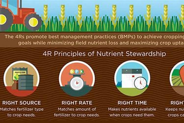 如何提高氮肥磷肥钾肥的利用率 提高氮肥磷肥钾肥的利用率方法