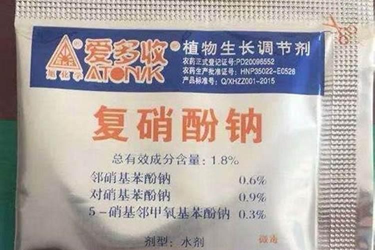 兰花叶面肥有哪些