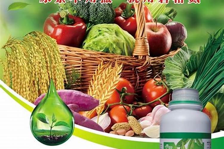什么植物用来做肥料可以代替氮肥