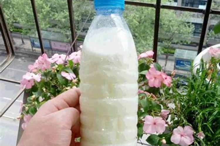 蝴蝶兰夏天怎么浇水 蝴蝶兰夏天浇水注意什么