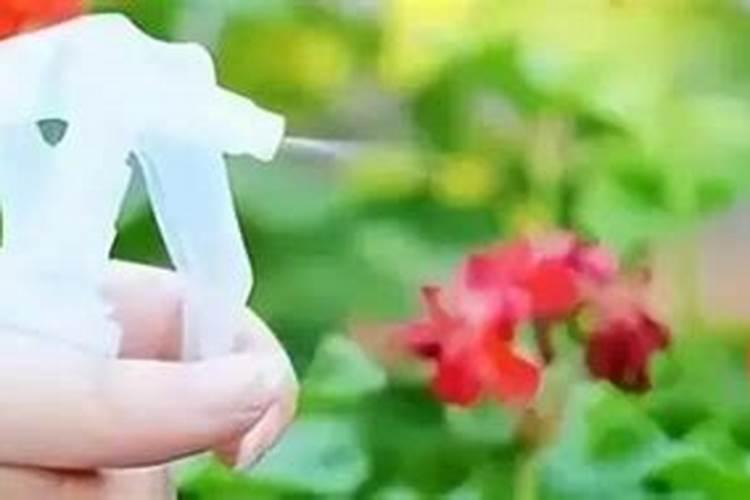 复合肥能泡水浇花吗