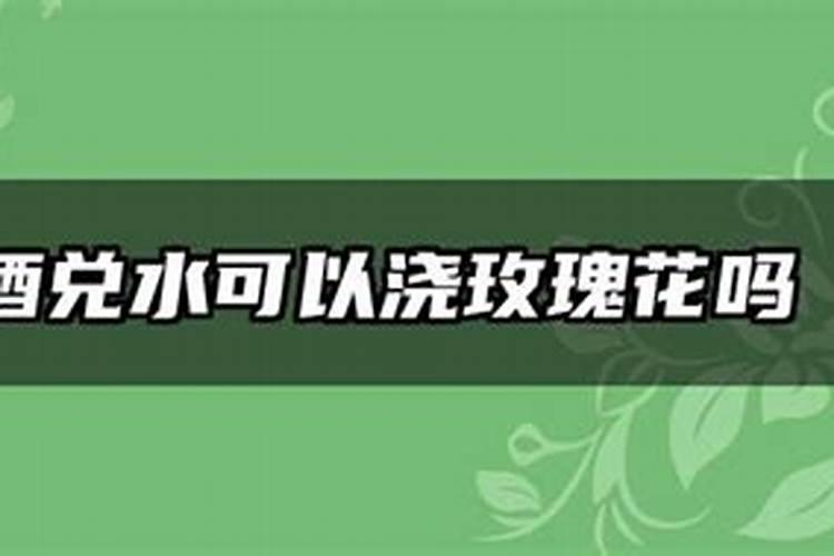 兰花换盆时到底用不用杀菌