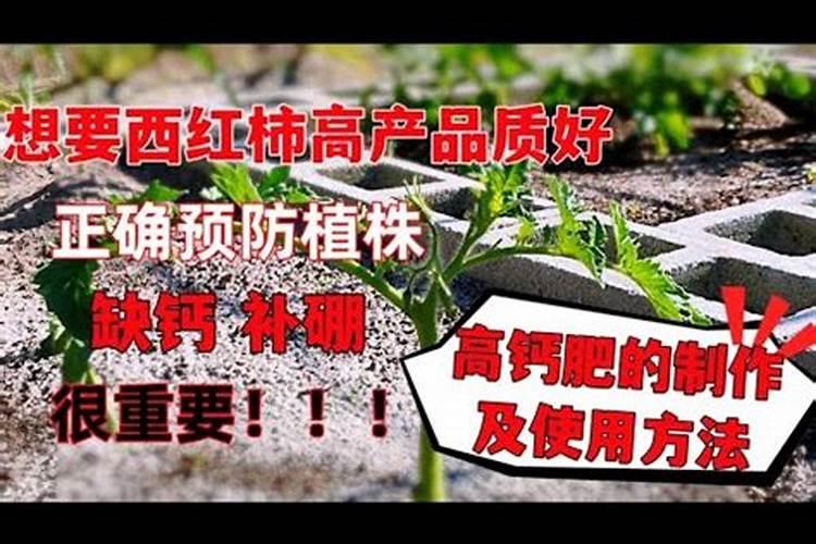 西红柿大棚中,硼,钙,镁,锌四种肥料哪些可以混用？
