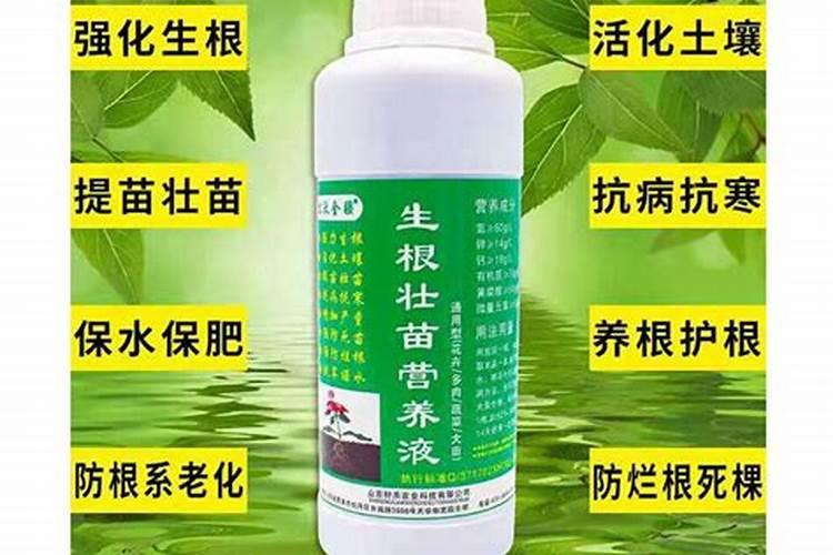 牡丹花可以喷叶面肥吗 注意事项有哪些