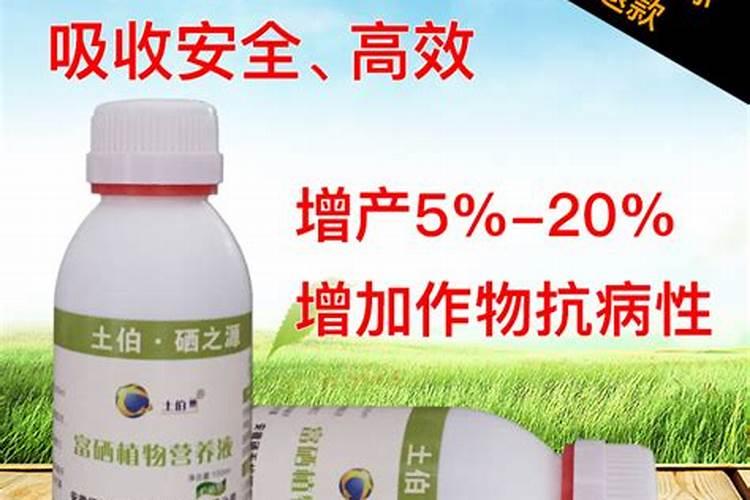 桃树花期可以浇水吗