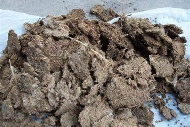 发酵粪便做有机肥的专用EM菌种最好的品牌是哪个