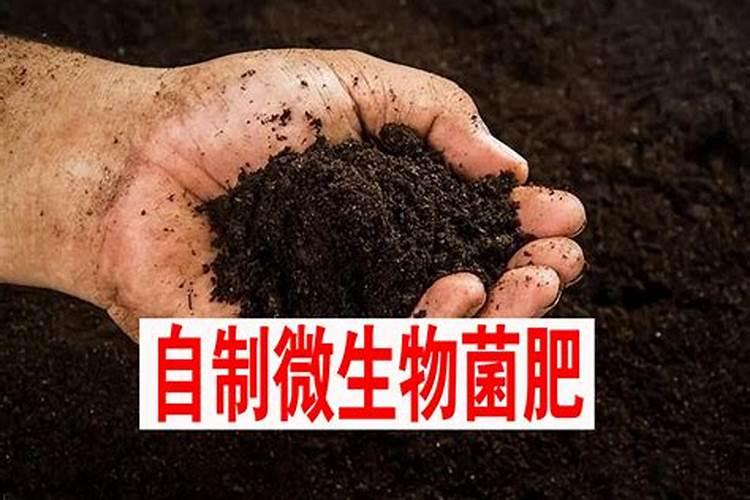 鸡粪发酵有机肥用什么菌种比较好？