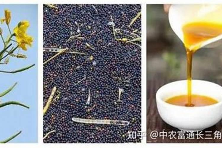 油菜种植方式调整后怎么进行肥料施用？