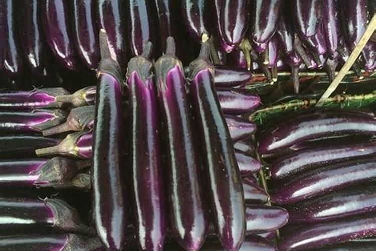 芸苔素内酯可以直接拌花生种吗？