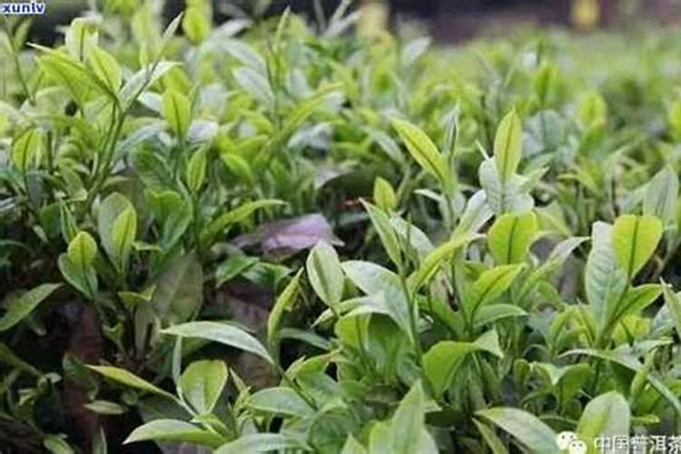 请问铝镁合金的密度是多少