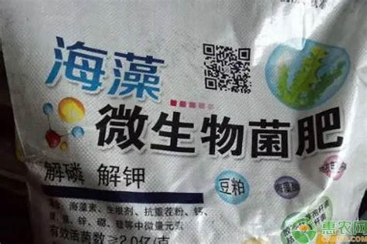 菌肥和钙肥能掺着上吗？