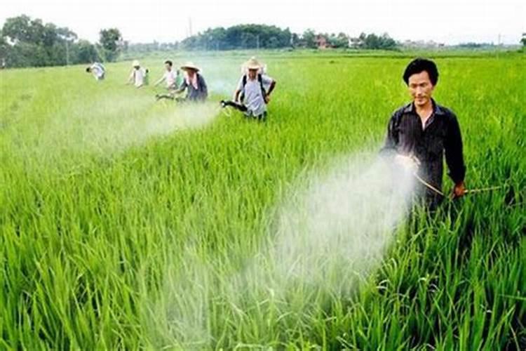 复合肥191919什么意思