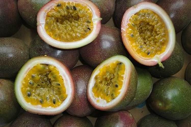 尾矿扬尘对环境的危害