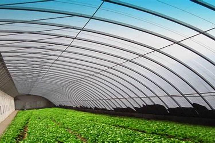 连阴雨雪天气转晴后如何对温室大棚蔬菜进行 温度管理？