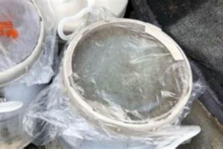 茶花施肥用什么肥料