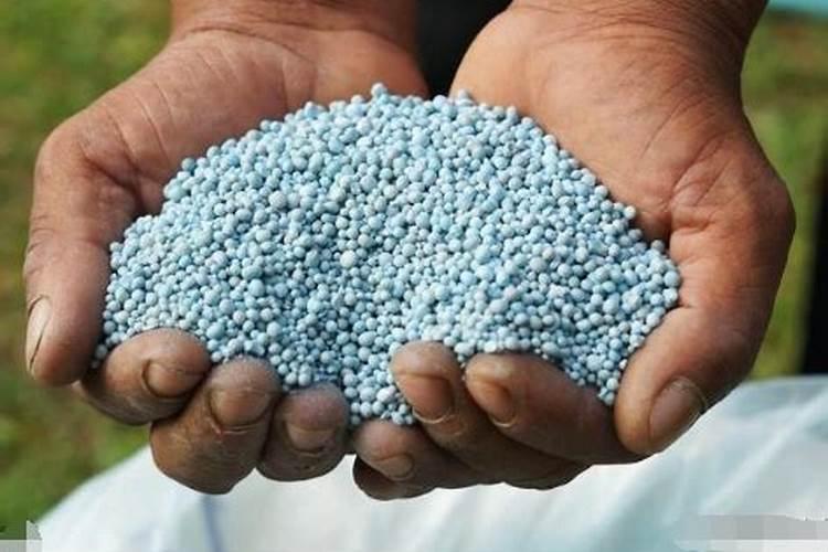 肥料增效剂一般有哪些