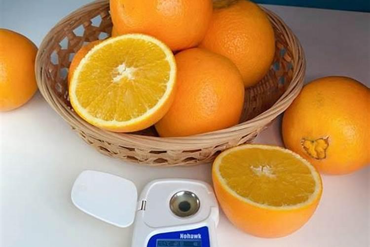 脐橙壮果肥该什么时候施 施肥方法有哪些